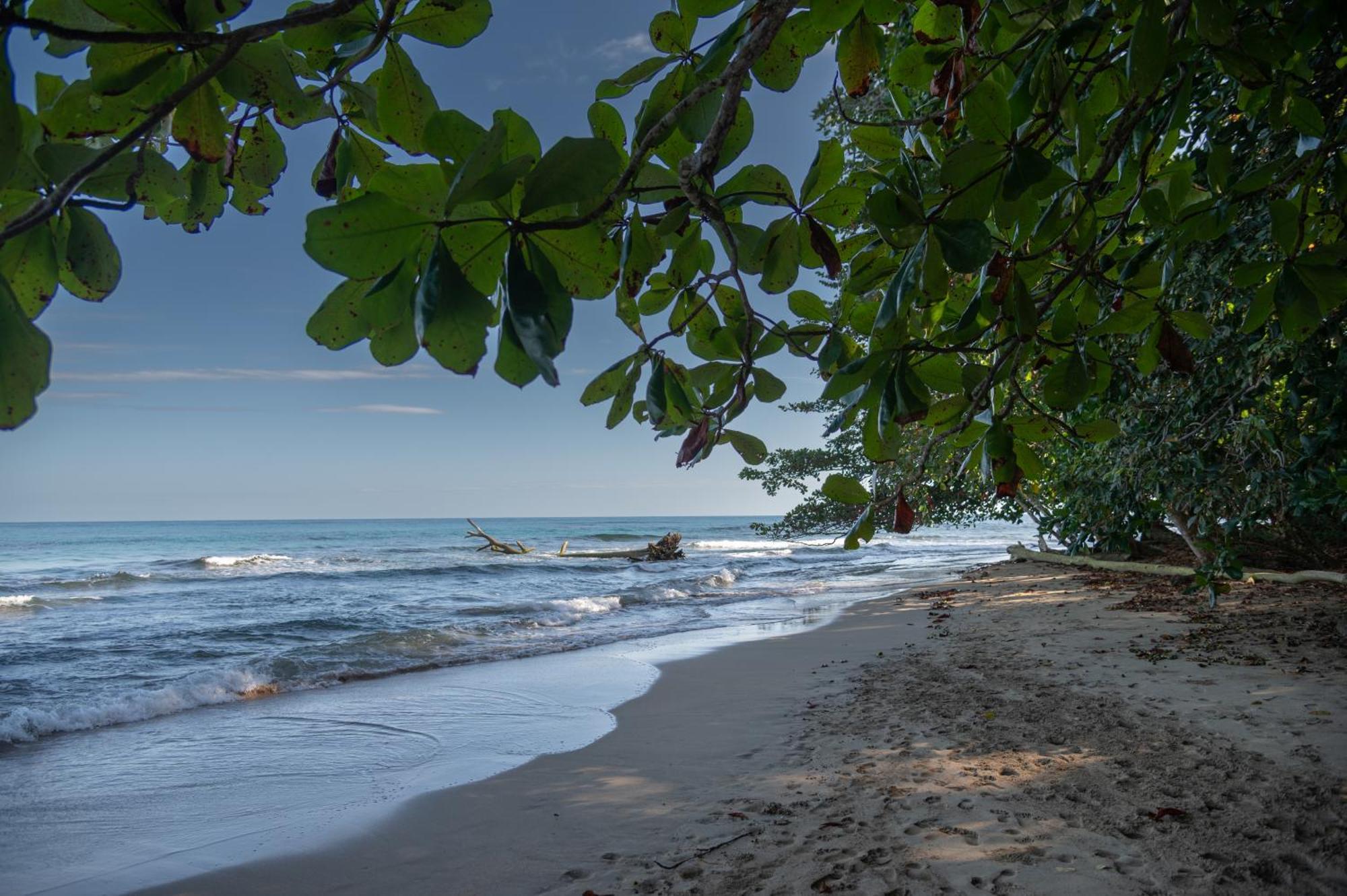 Le Cameleon Boutique Hotel Puerto Viejo de Talamanca Экстерьер фото