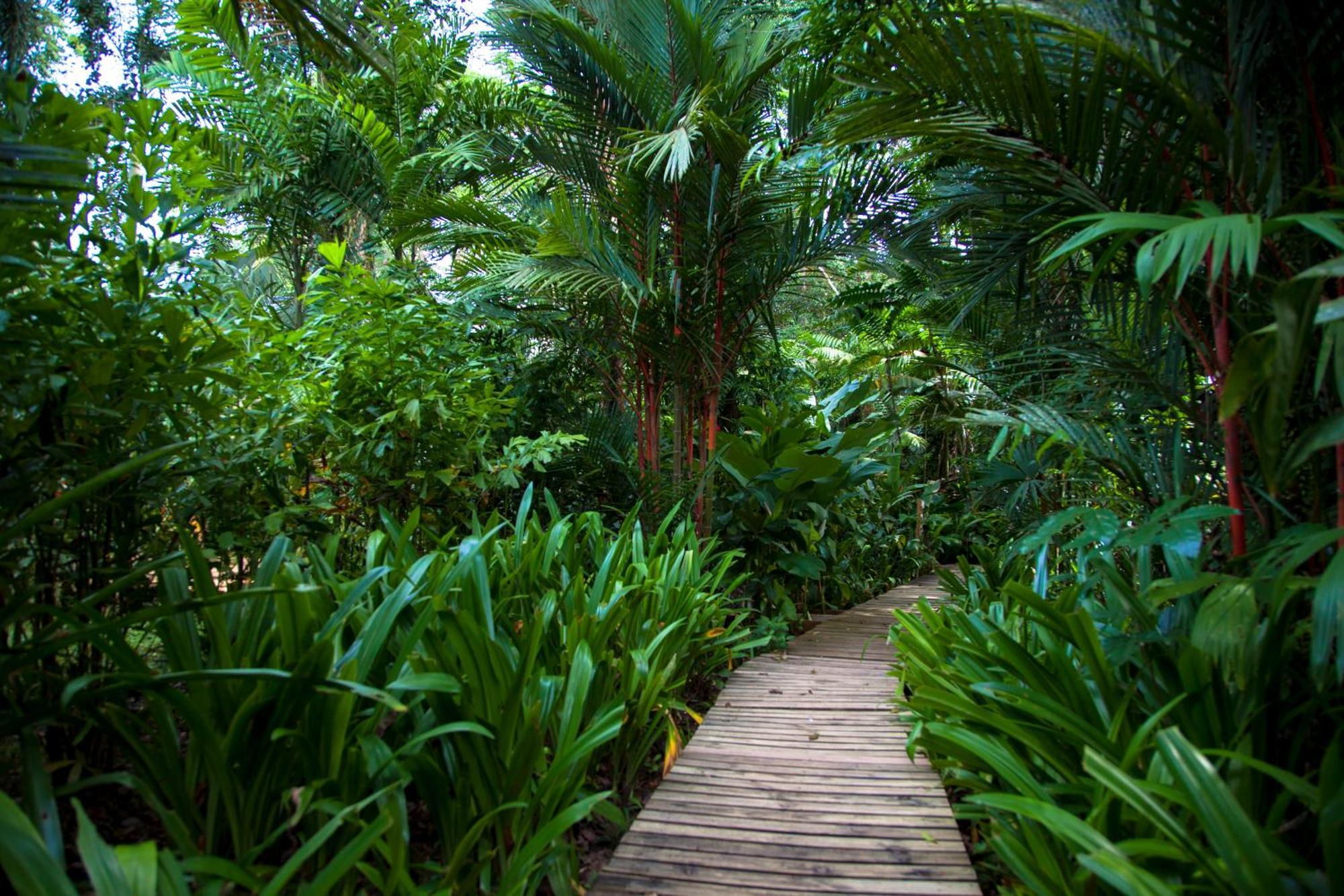 Le Cameleon Boutique Hotel Puerto Viejo de Talamanca Экстерьер фото